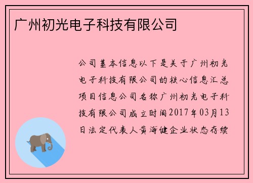 广州初光电子科技有限公司